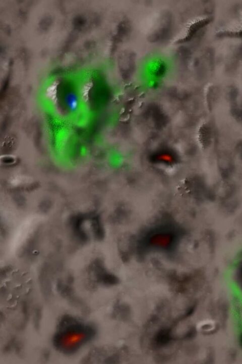 MyracliaWorld_3_obrus_latka_source_v01_full110x165cm-1600