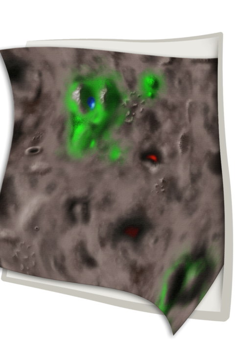 Myraclia Theme Tablecloth