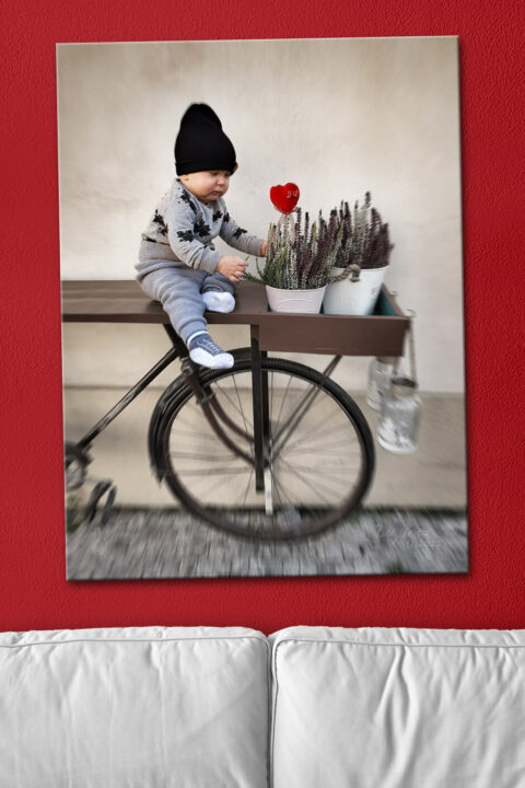 Curious - Art Photography