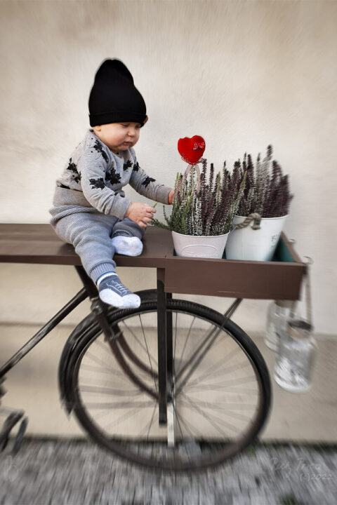 MyArt_CURIOUS_red1200